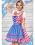 Tradisjonelt Rødt og Hvitt Rutete Dirndl Oktoberfestkostyme med Blå Partier