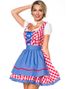 Tradisjonelt Rødt og Hvitt Rutete Dirndl Oktoberfestkostyme med Blå Partier